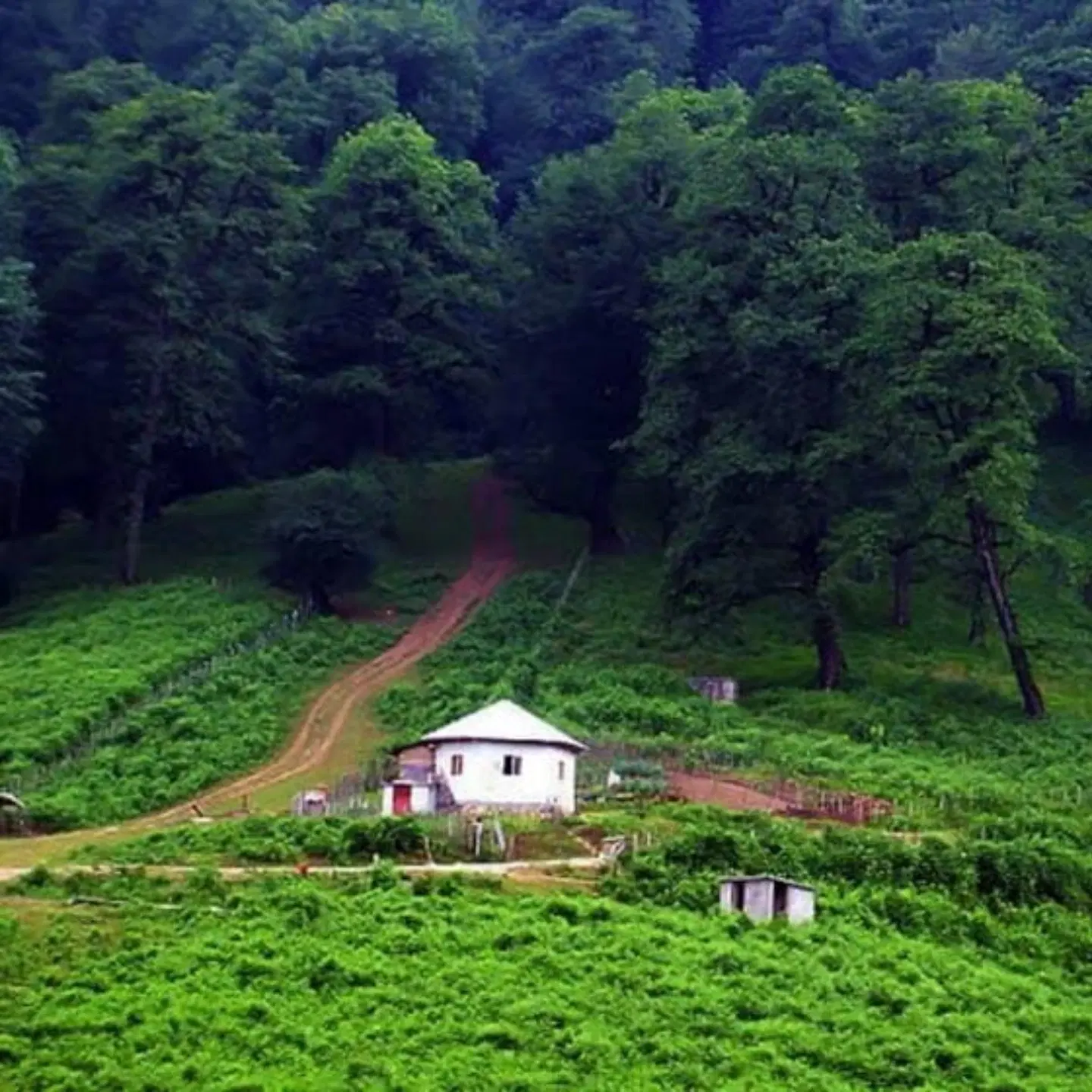 همخونه میشم خونه ندارم