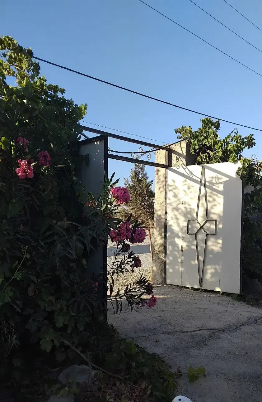 هزار متر باغ در محمدشهر