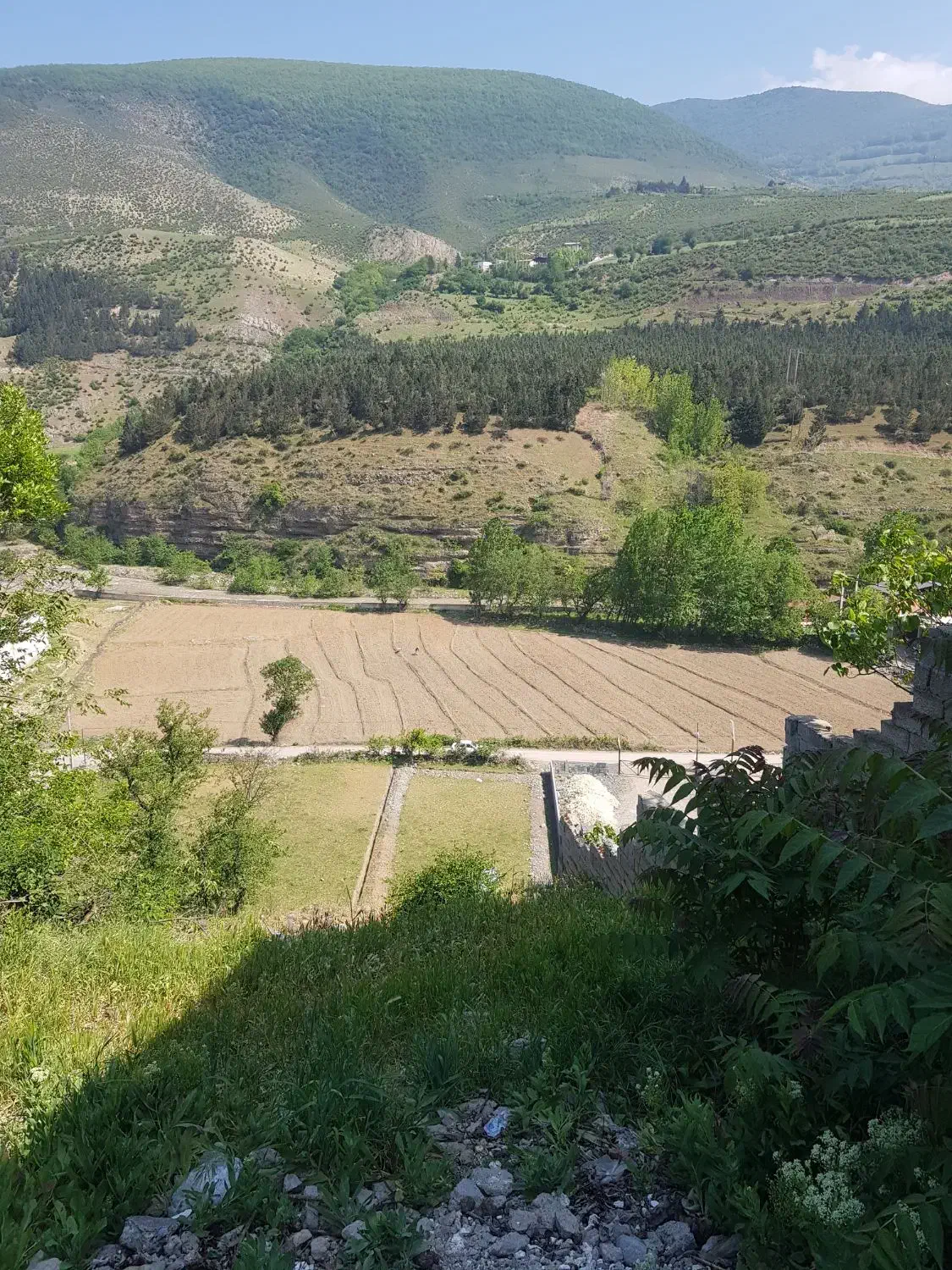 زمین