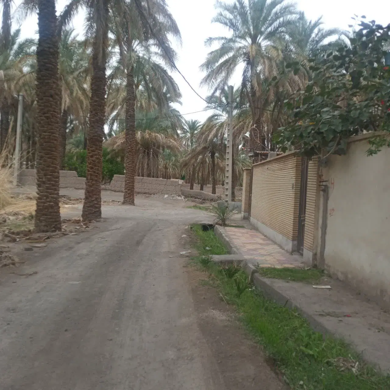 فروش زمین