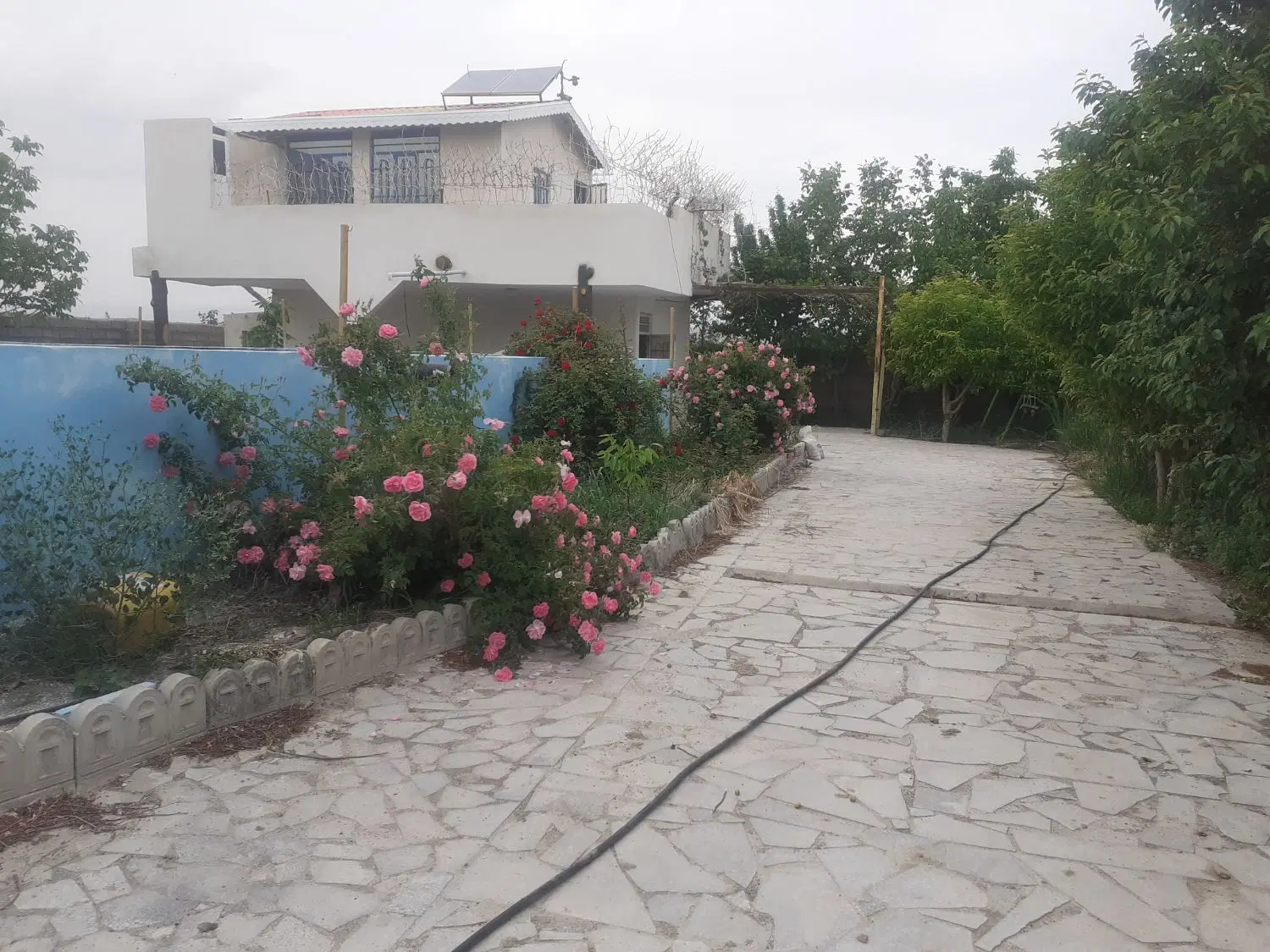 باغ فروشی
