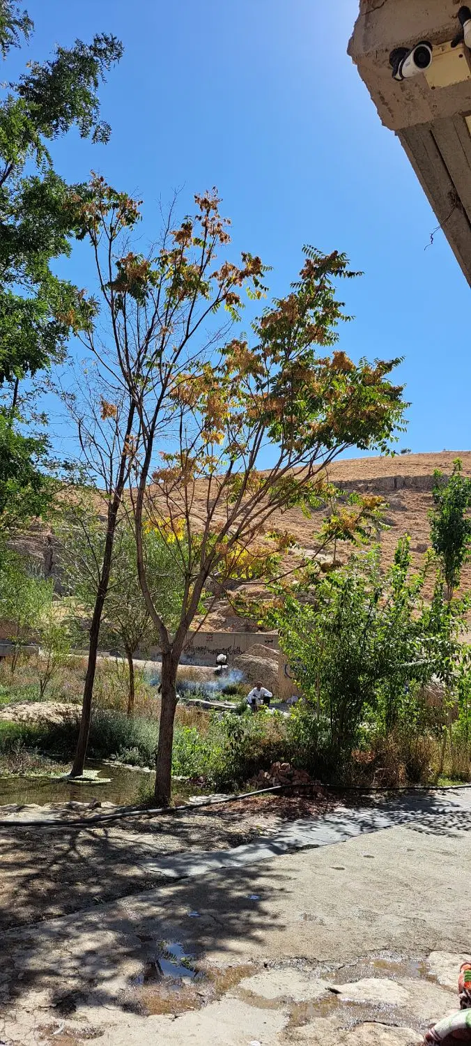 زمین وآب روستای گردشگری سیاه جنگل