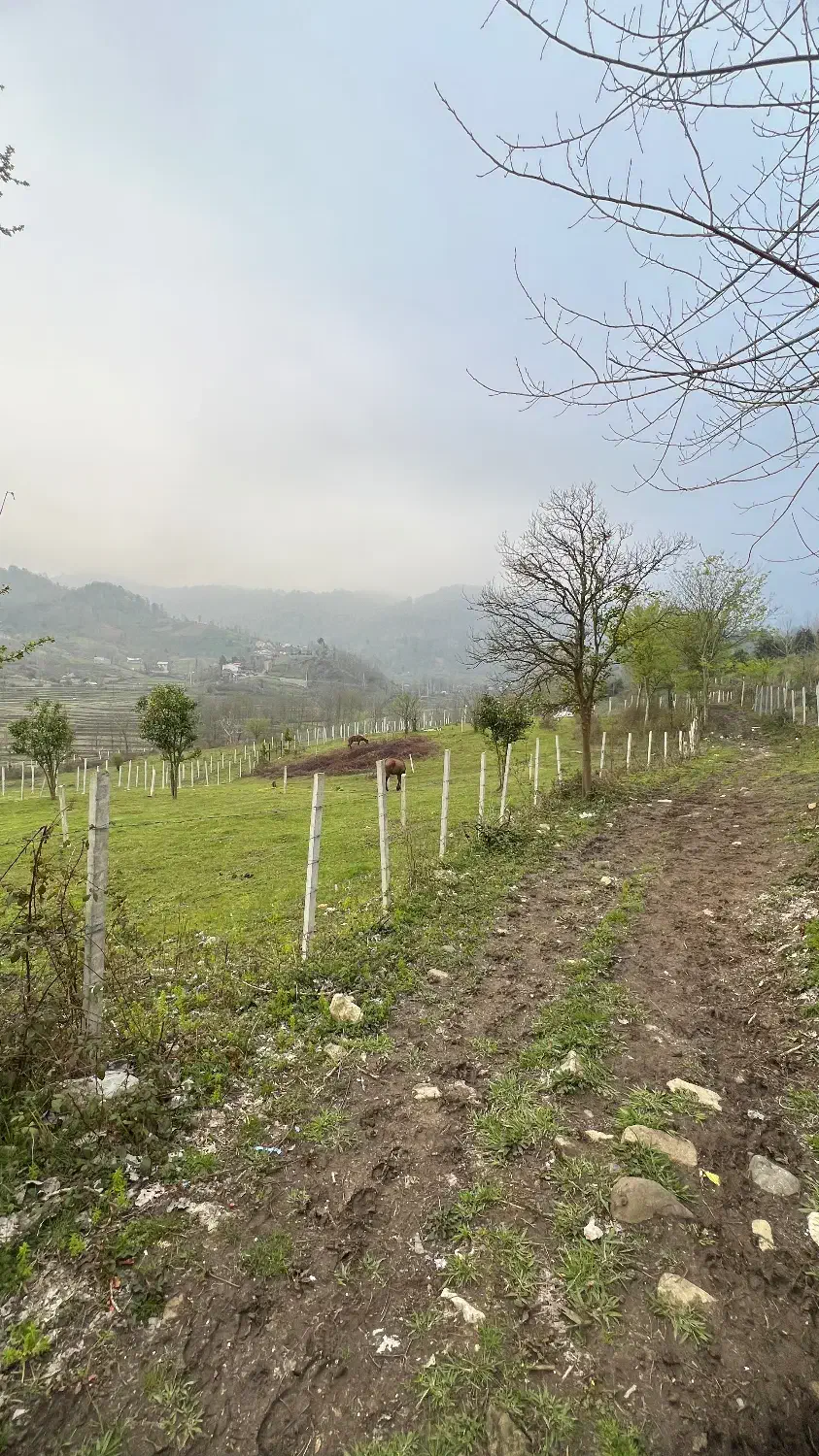 ۳۰۰متر از بهشت در روستای گمل(پایین)