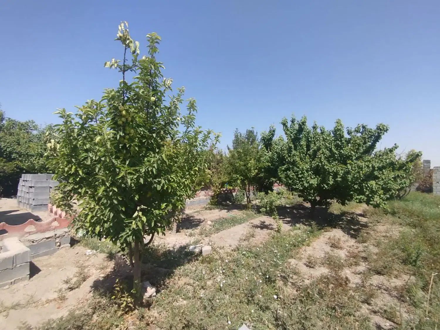 باغ با مجوز دیوار