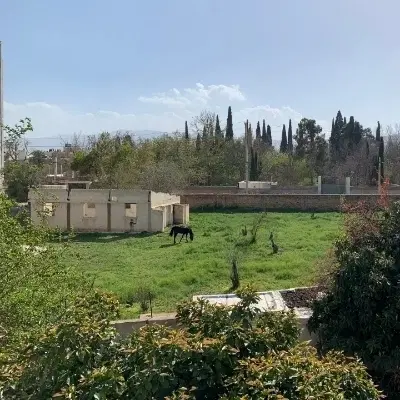 اسکلت دو طبقه