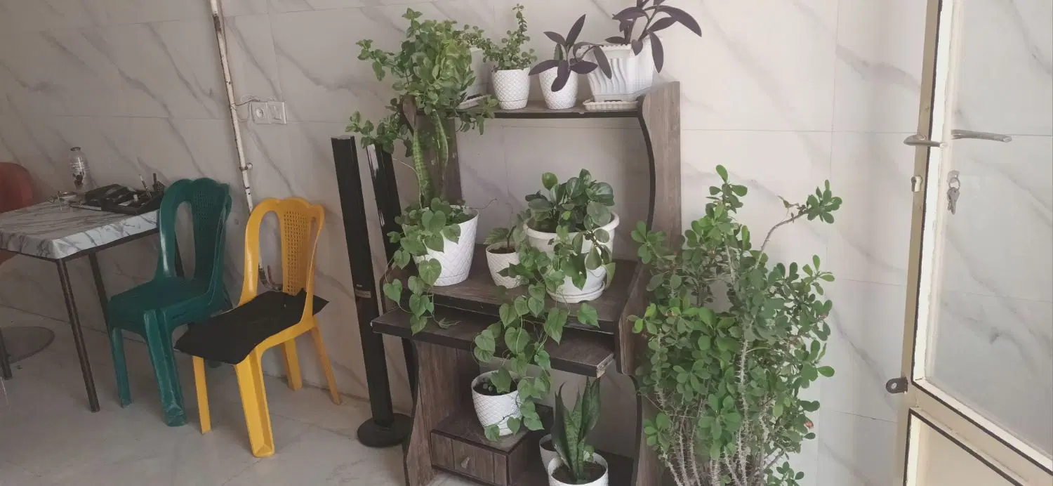 مغازه بابت اجاره