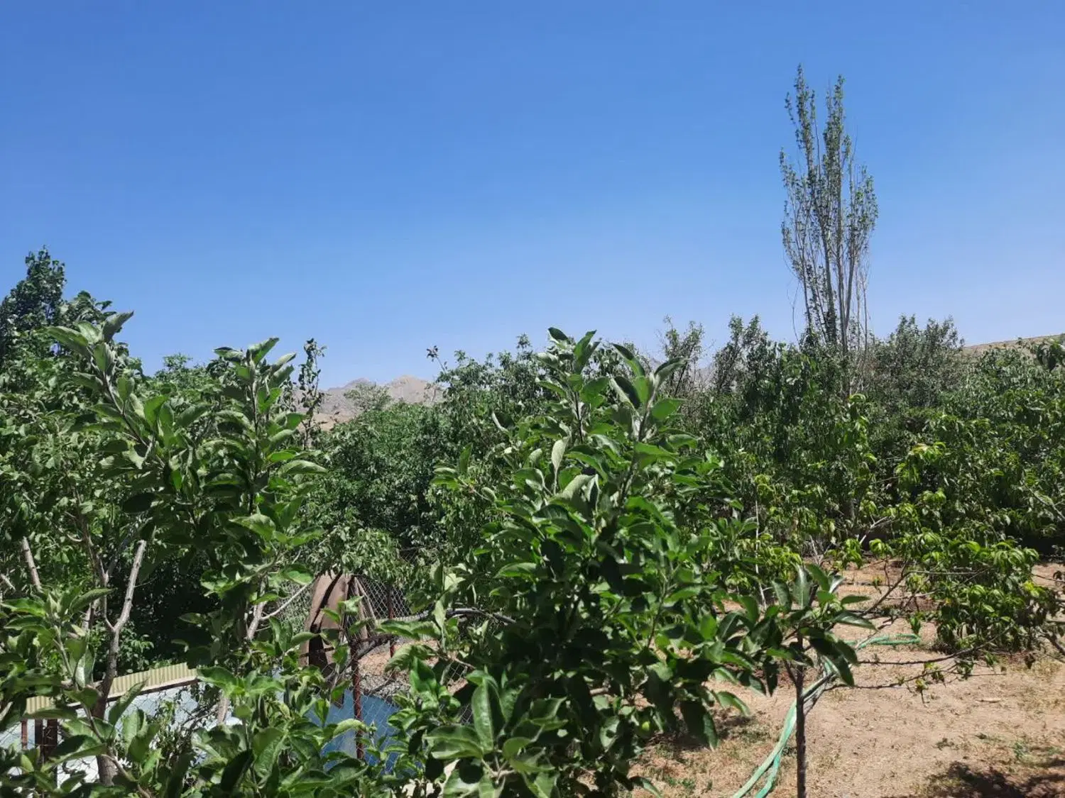 باغ ویلا کرمجگان