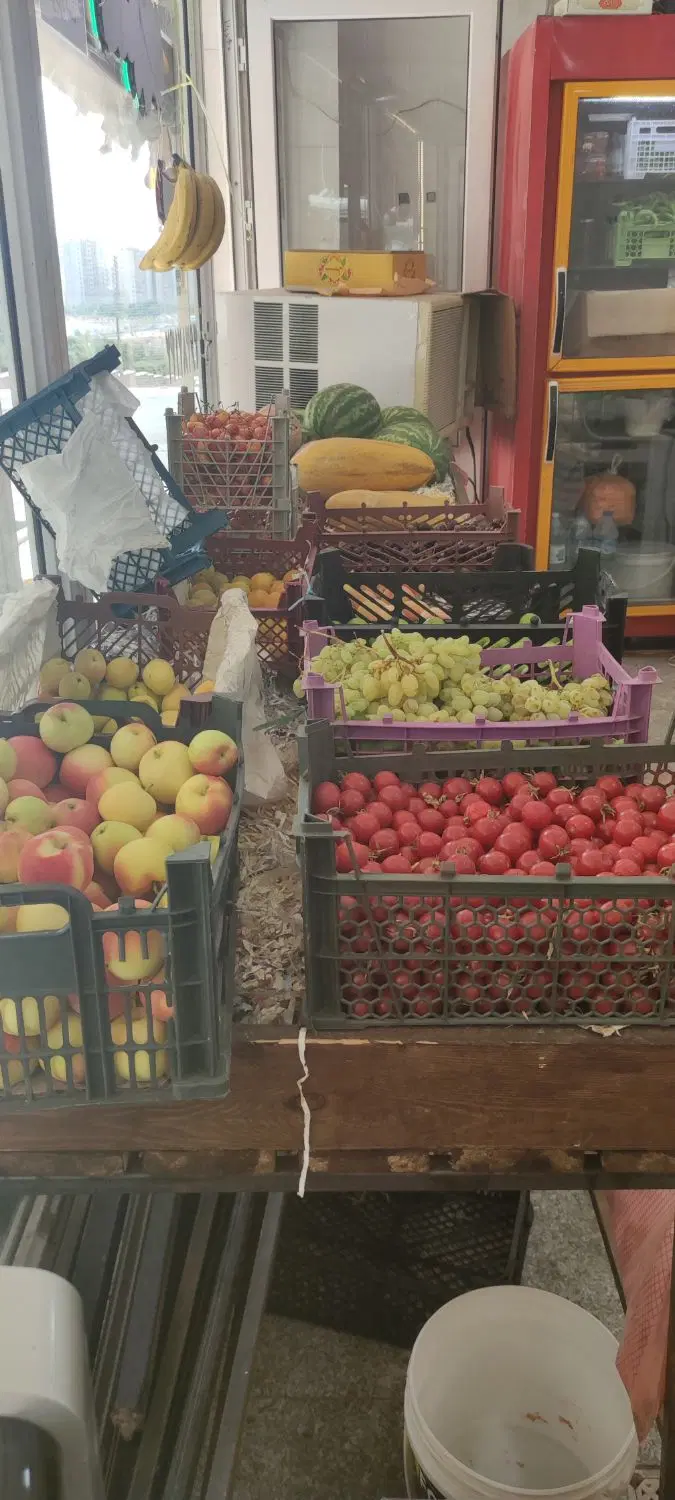 مغازه میوه و سبزی فروشی