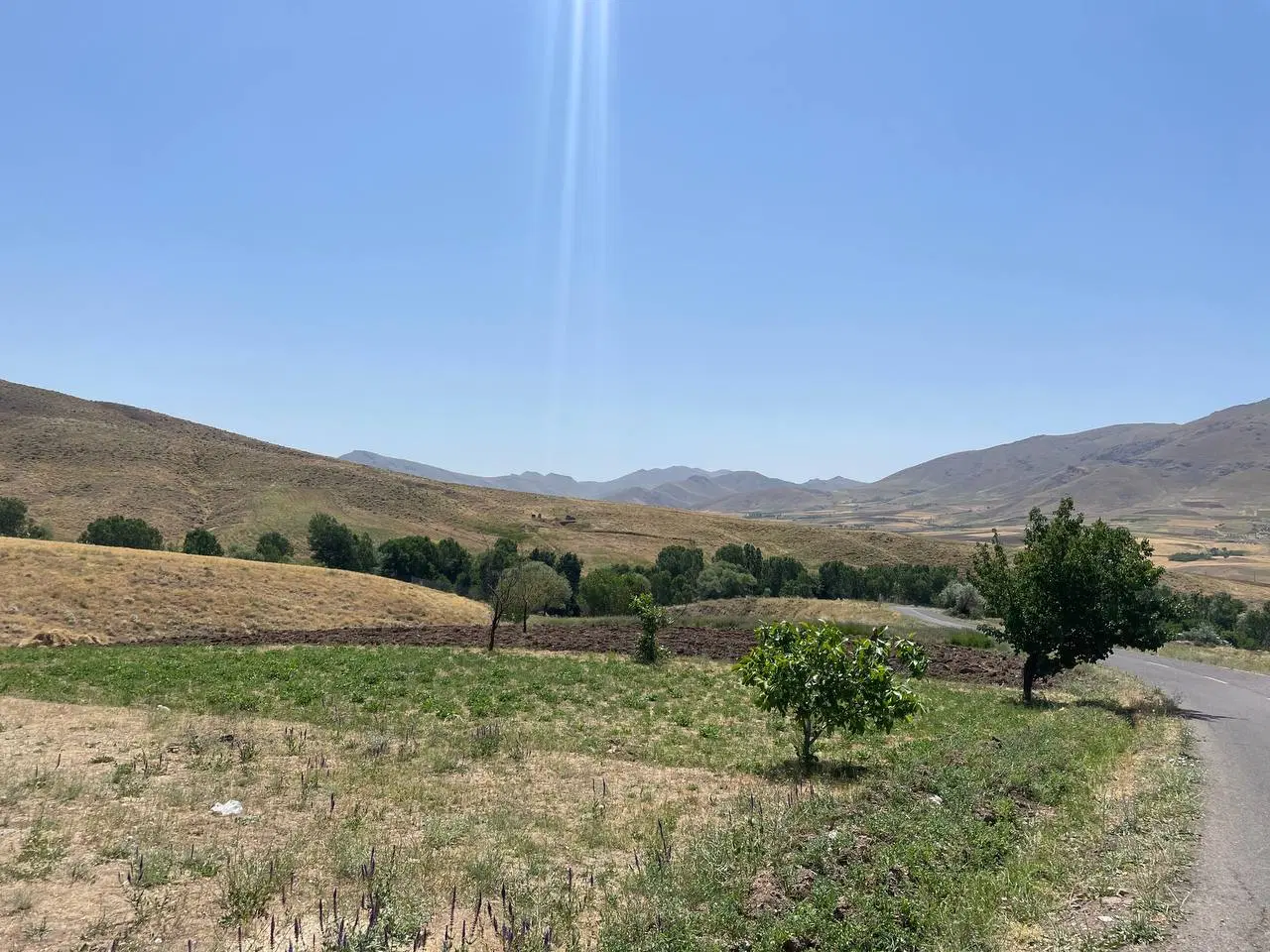 زمین