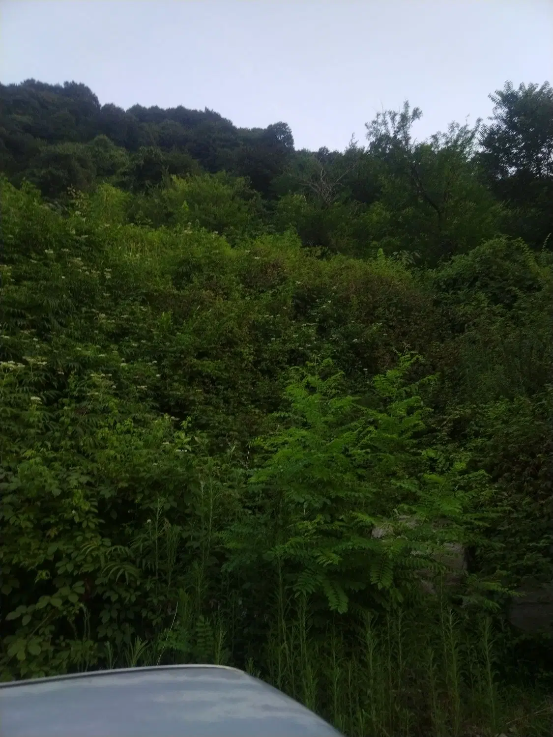 زمین ۲۰۰متری