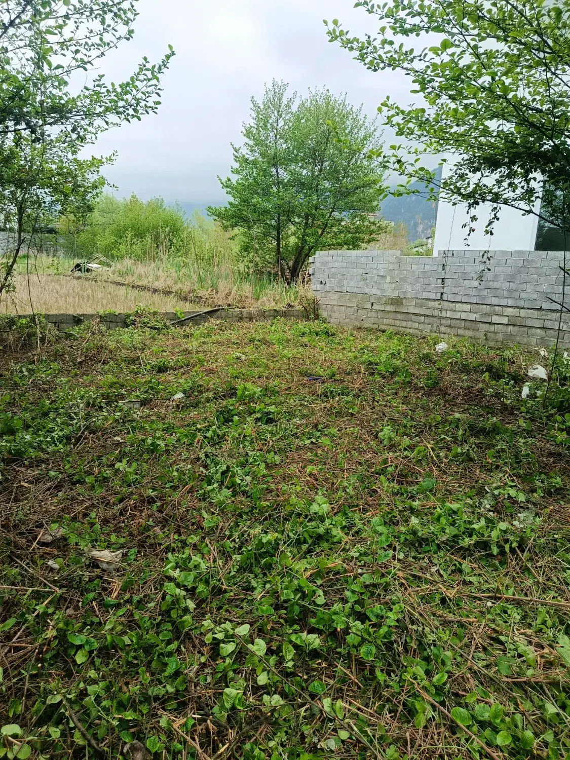 ۳۰۰ متر زمین نوشهر چلک ریاست‌جمهوری