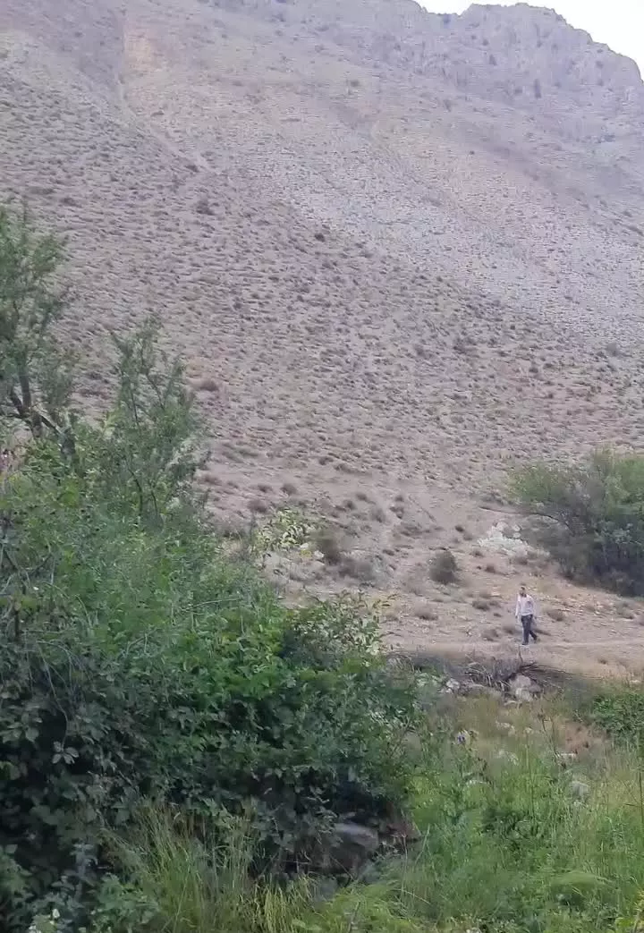 باغ گیلاس ۹۰۰ متری در لاریجان امل