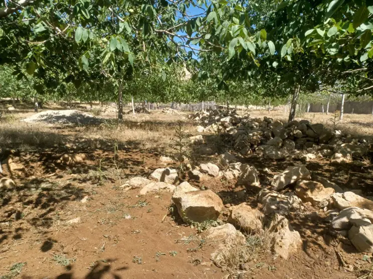 زمین سرحد ( دمه )