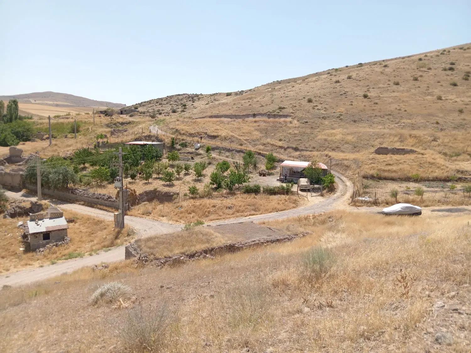 زمین باغی