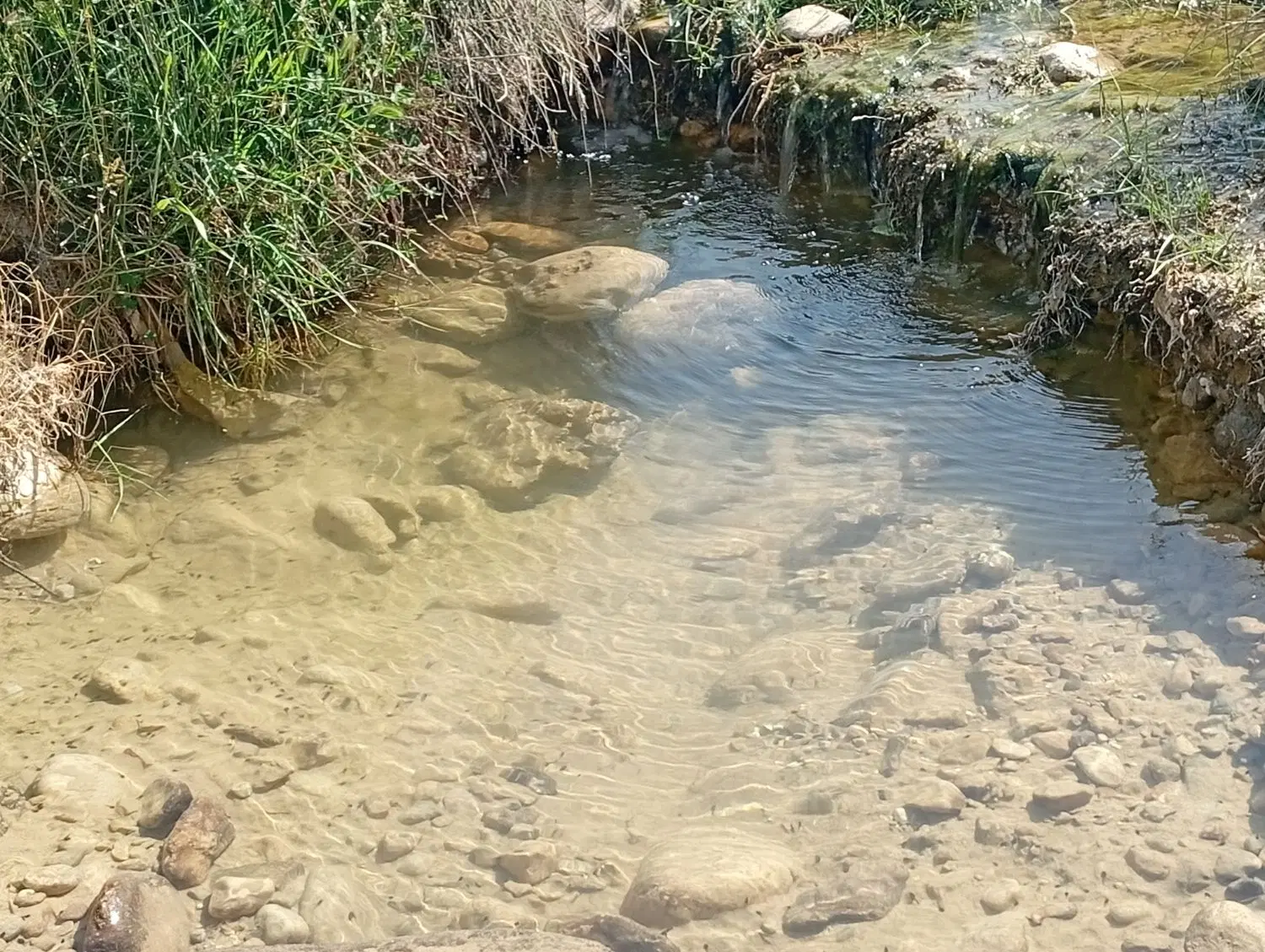 فروش باغ