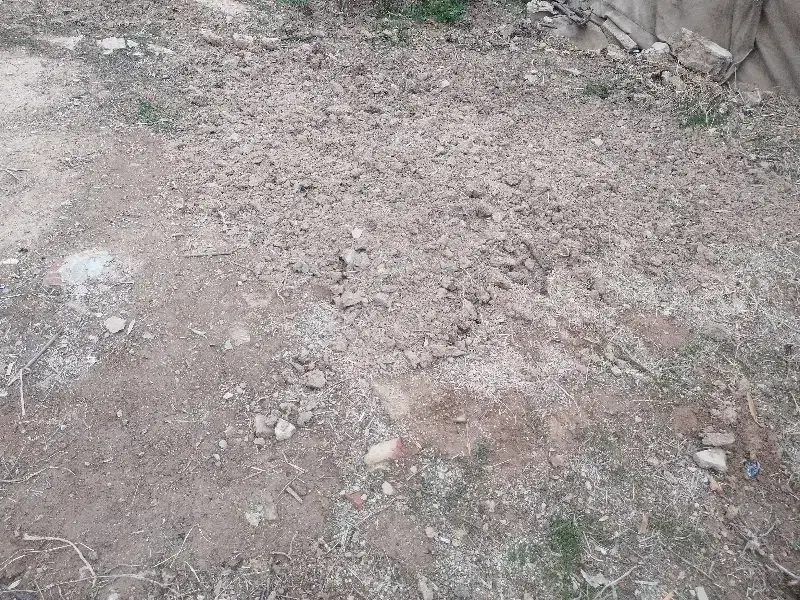 زمین حاج حسین عابدی