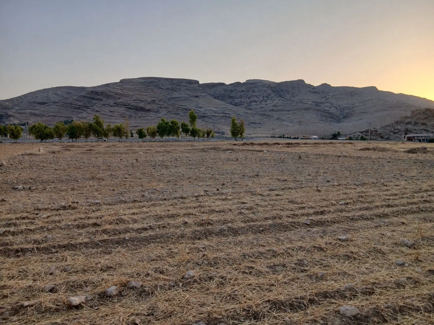 فروش زمین