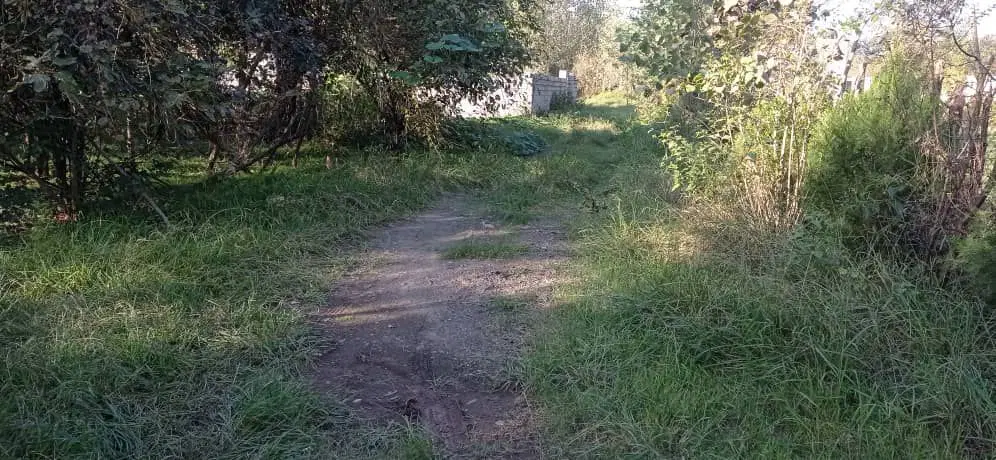 ۵۰۰ متر زمین باغی  دور محوطه دیوار  چیده شده