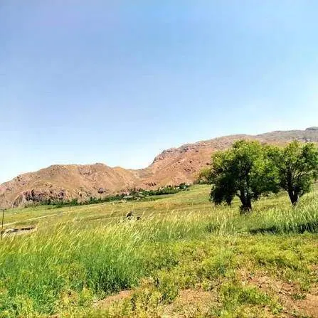 فروش زمین طالقان با سند تک برگ