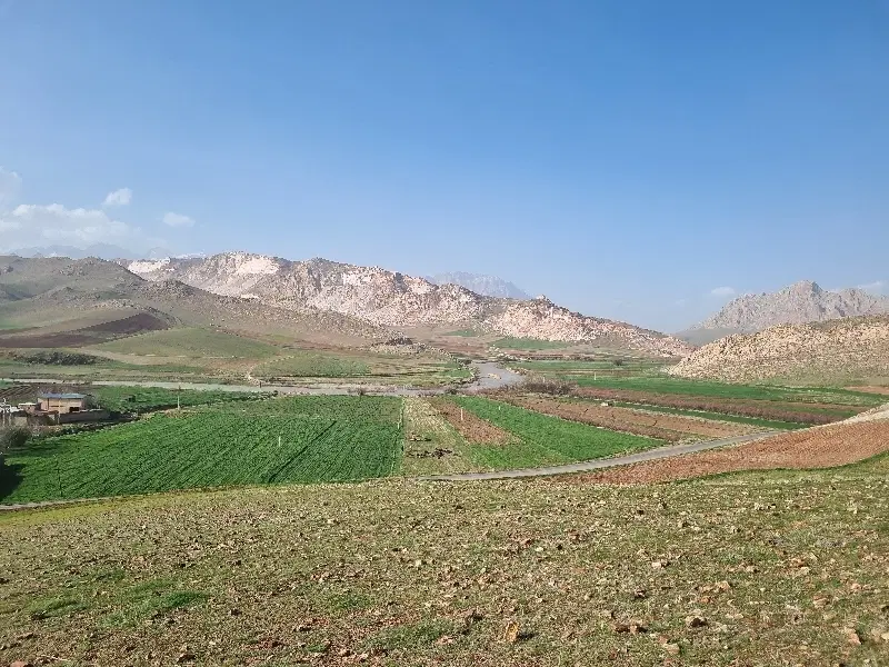 زمین تجاری مسکونی برخیابن ۴۵ متری دانش