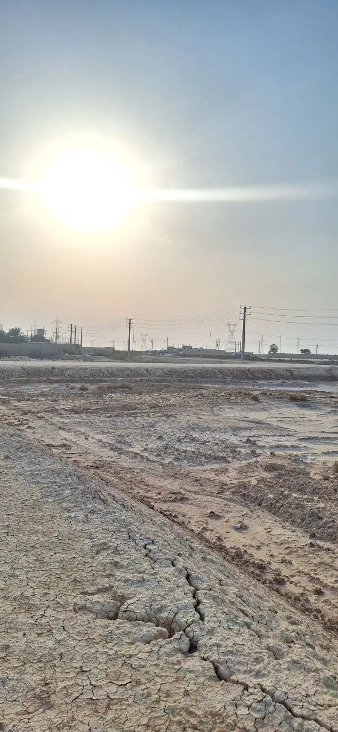 فرزند آوری