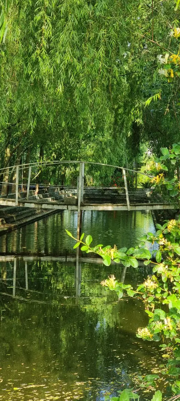 کلبه های برند با معماری خاص