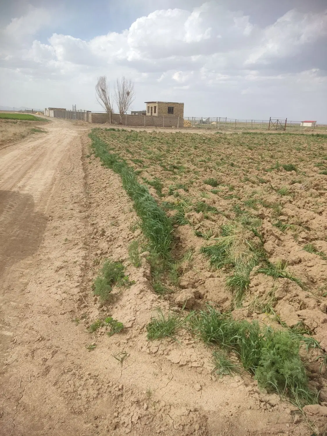 زمین باغی سندشش دانگ