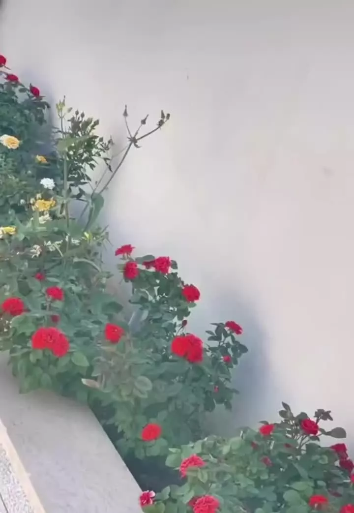 ۲۵۰متر ویلای دوبلکس مدرن آبسرد (فاز ۳) سند تک‌برگ