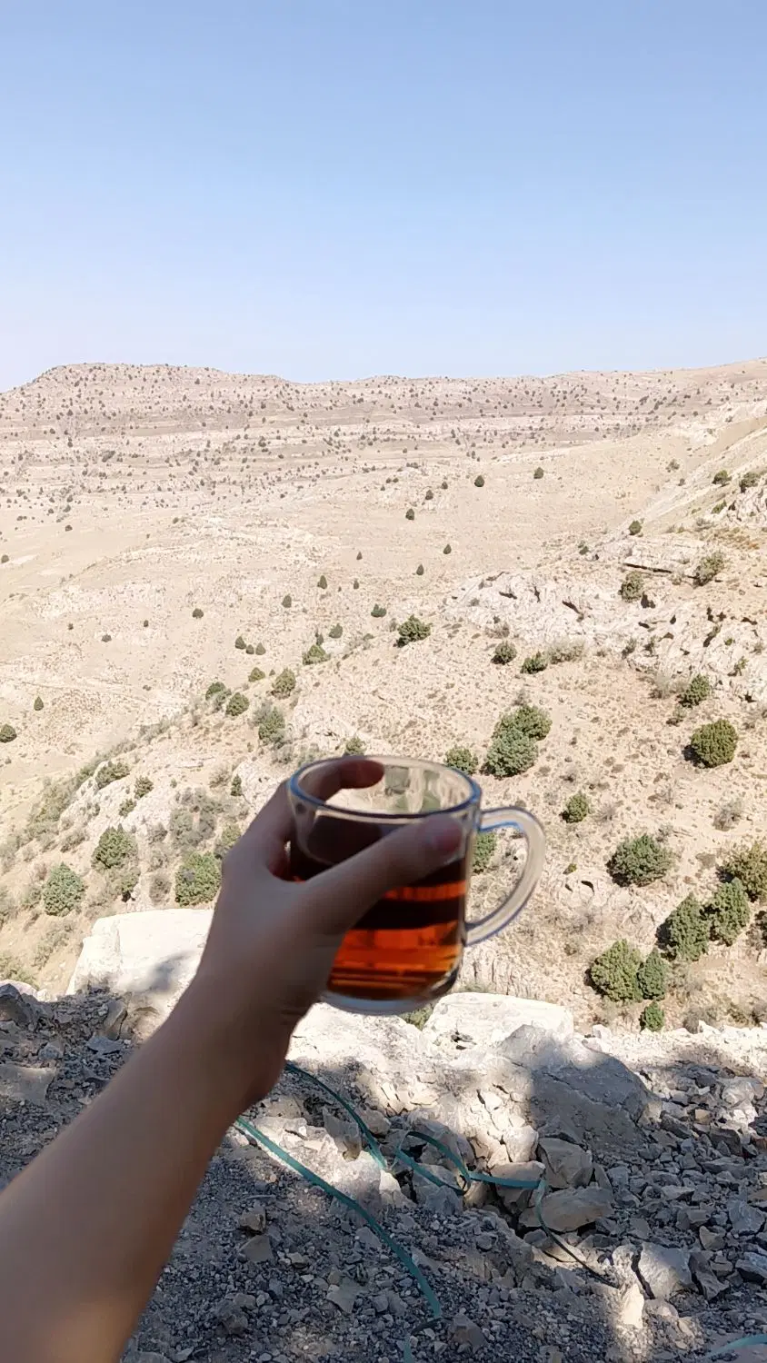 زمین فرزندآوری زعفرانیه