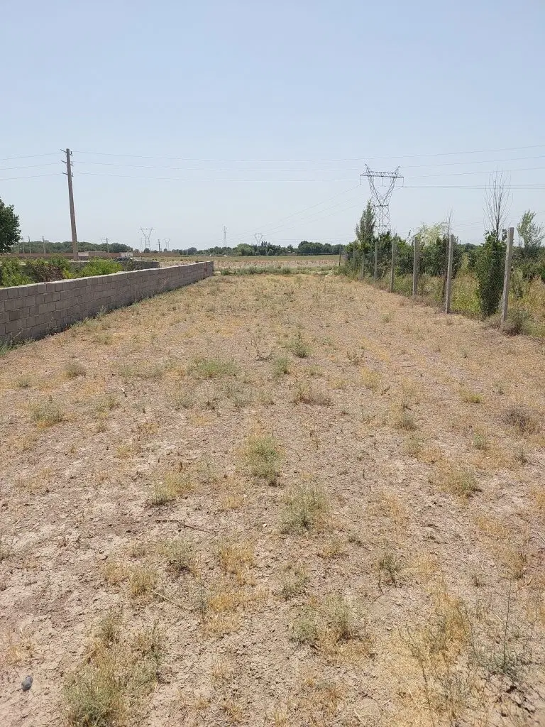 زمین زراعی