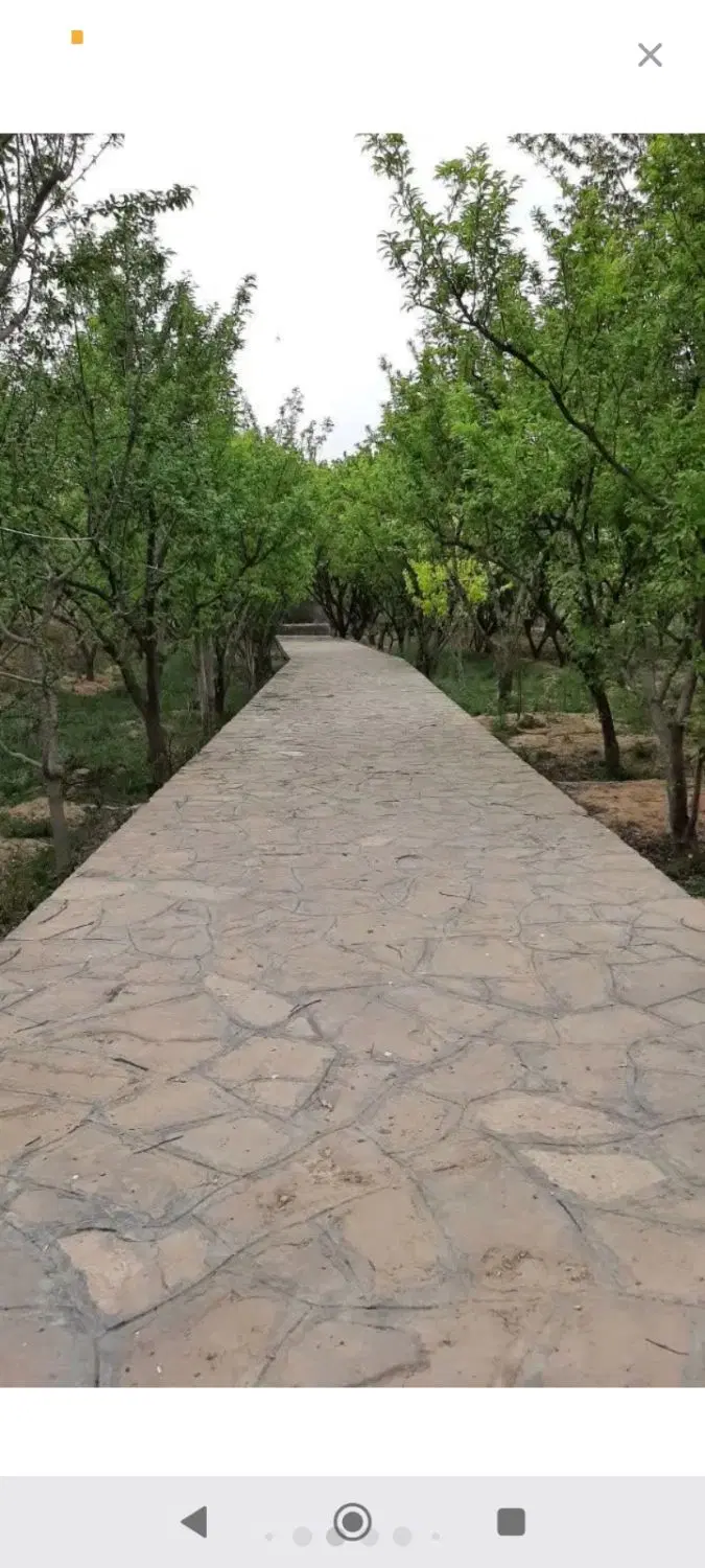 باغ 3 هزار متری در منطقه خوش آب و هوای اندروخ