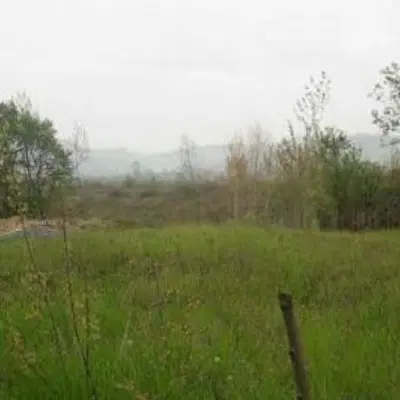 زمین شهرک امام حسن