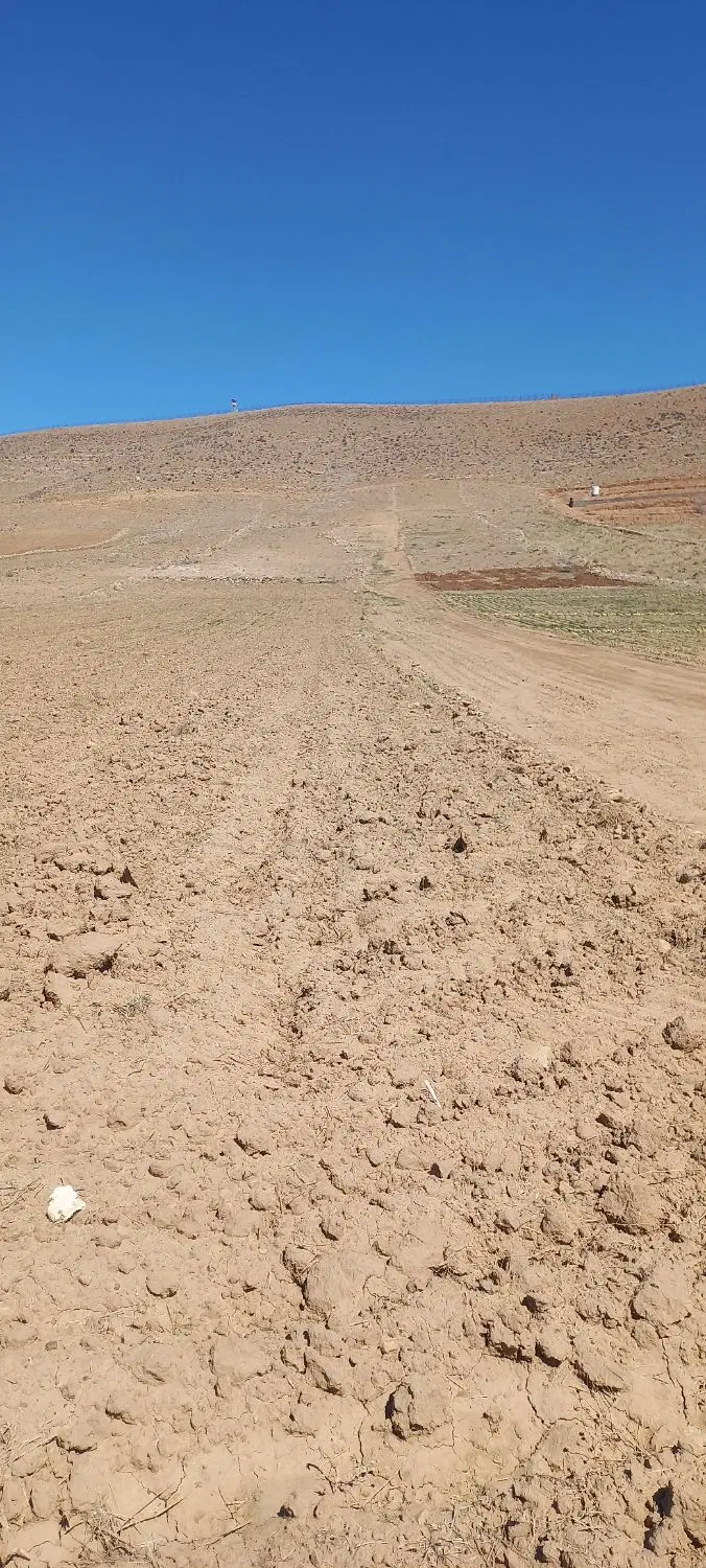 زمین کشاورزی