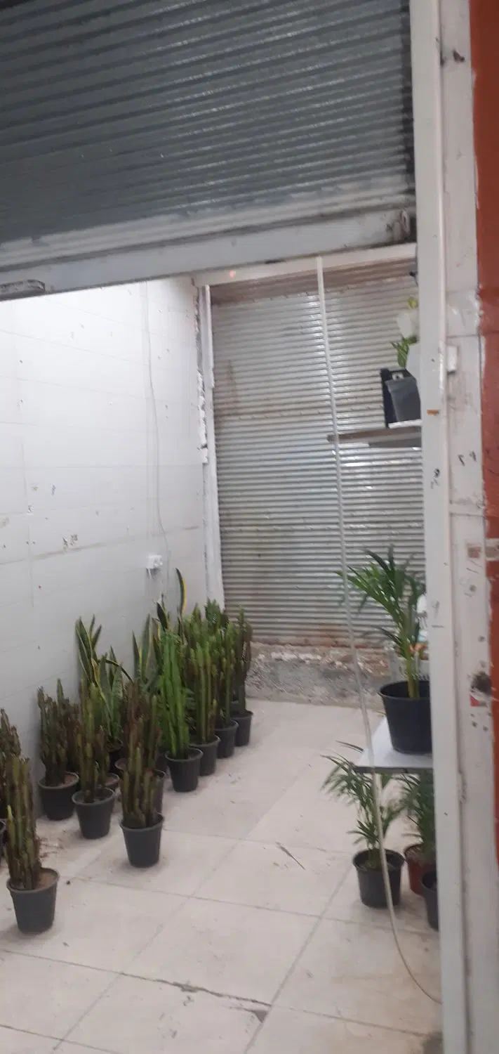 مغازه بازار روز