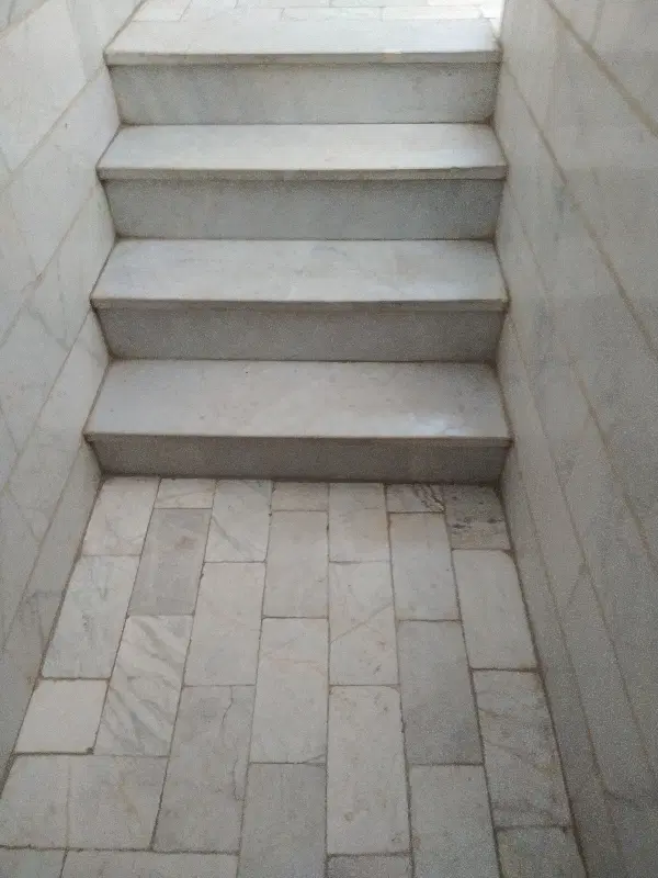 همخونه‌