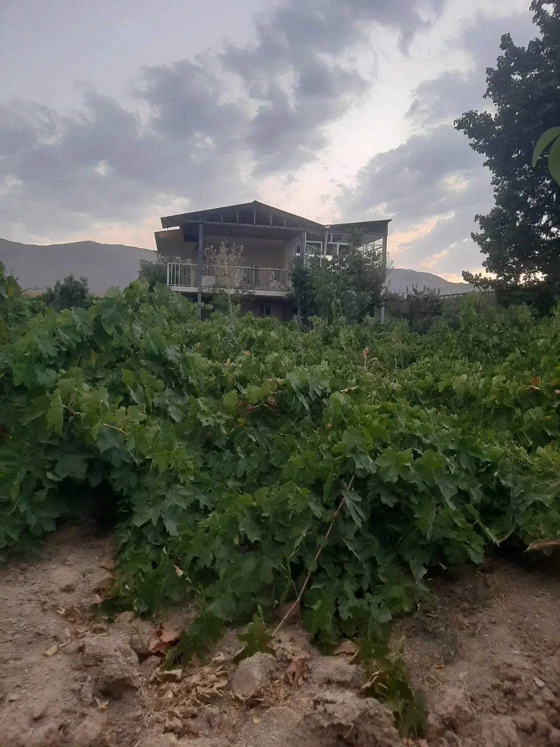 اجاره منزل مسکونی