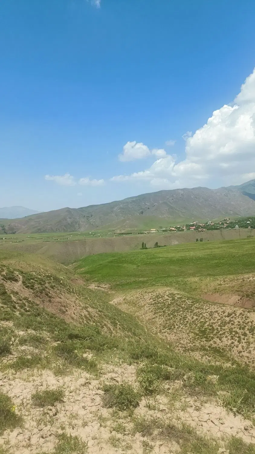 زمین شکوفه 1 . تفکیک شده . 140 متری