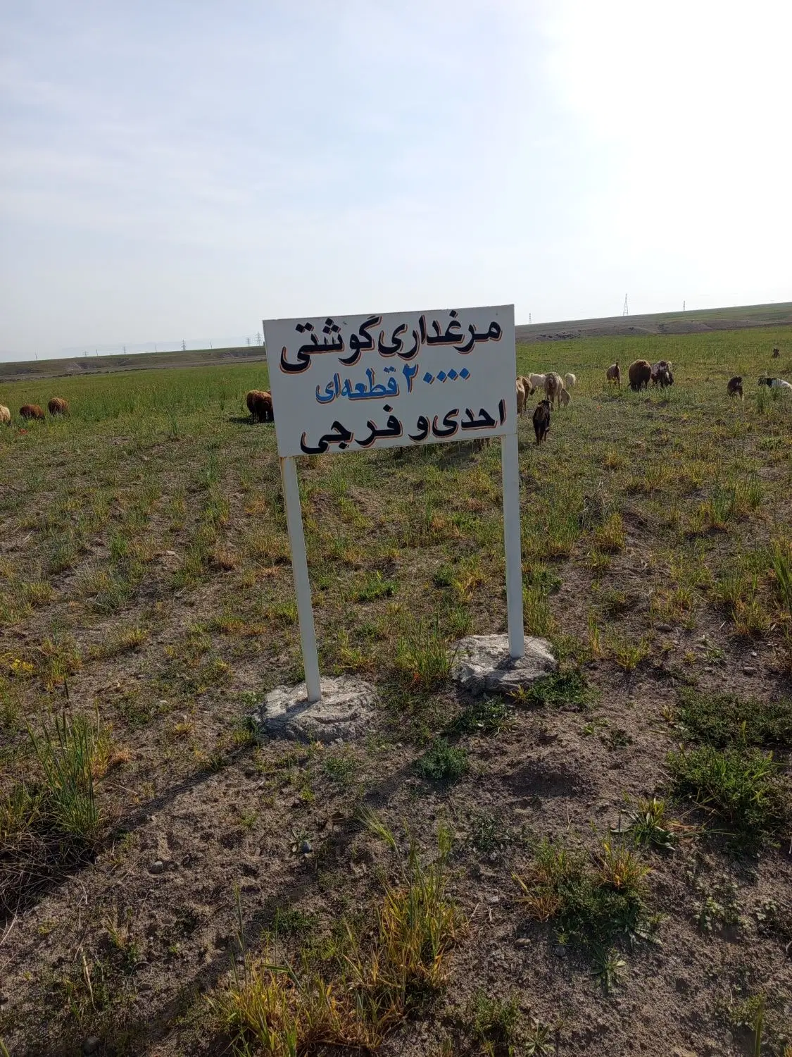 زمین مرغداری با مجوز آب