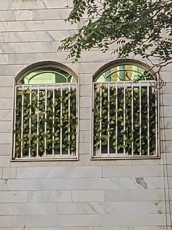 شریعتی پلیس ۵۰متر