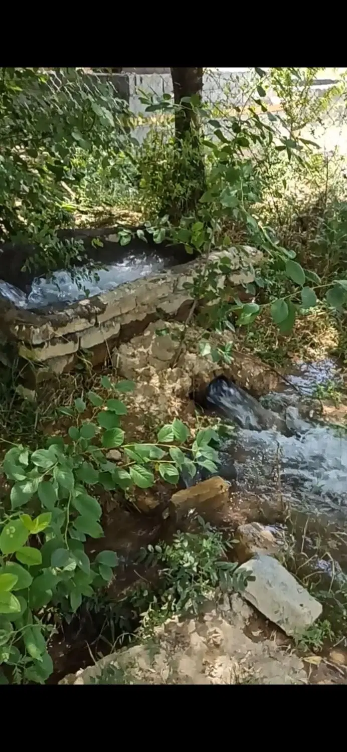 زمین کشاورزی