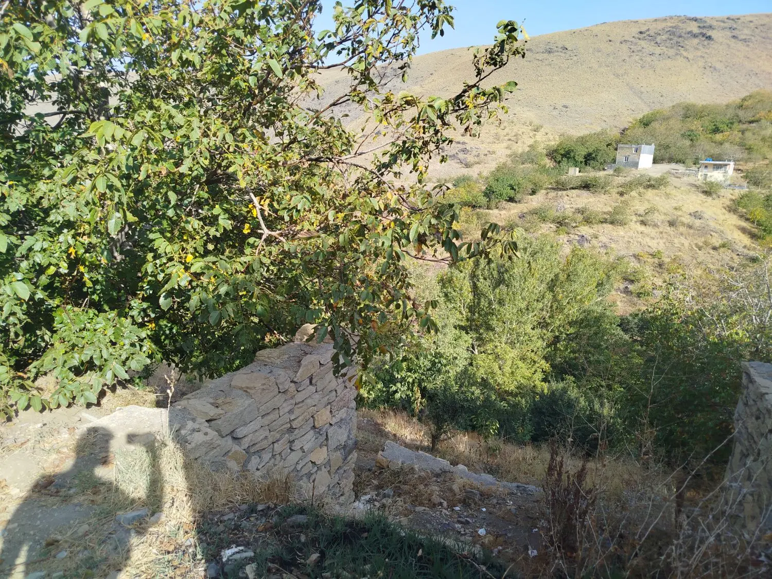 فروش فوری باغ میوه خاکو