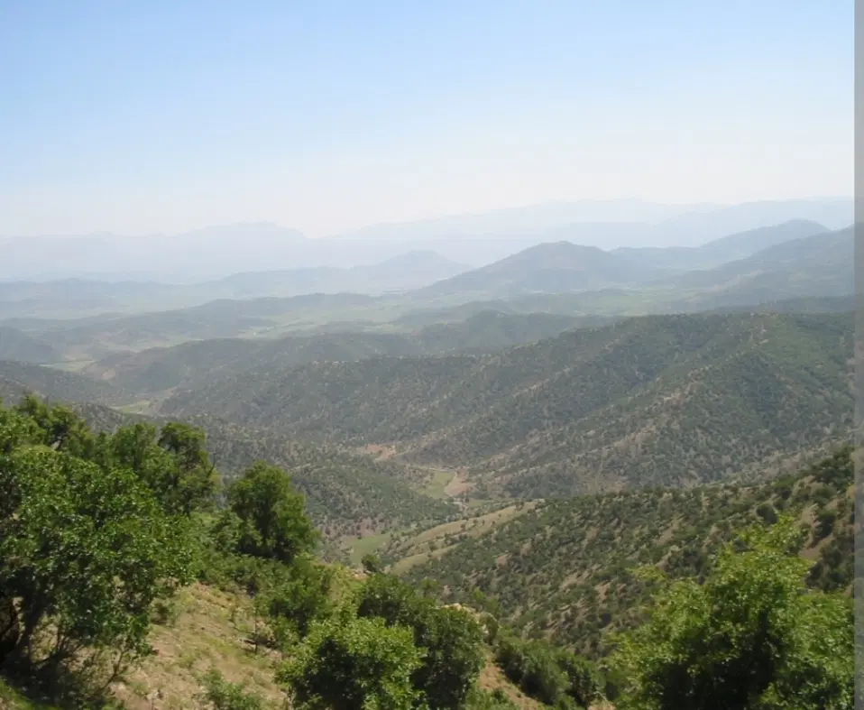 فروش زمین (زمینهای مدیریت)