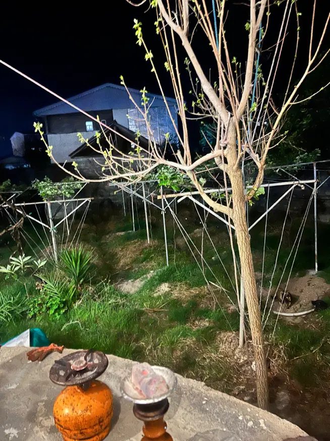 مغازه در سعدی به سمت معجز
