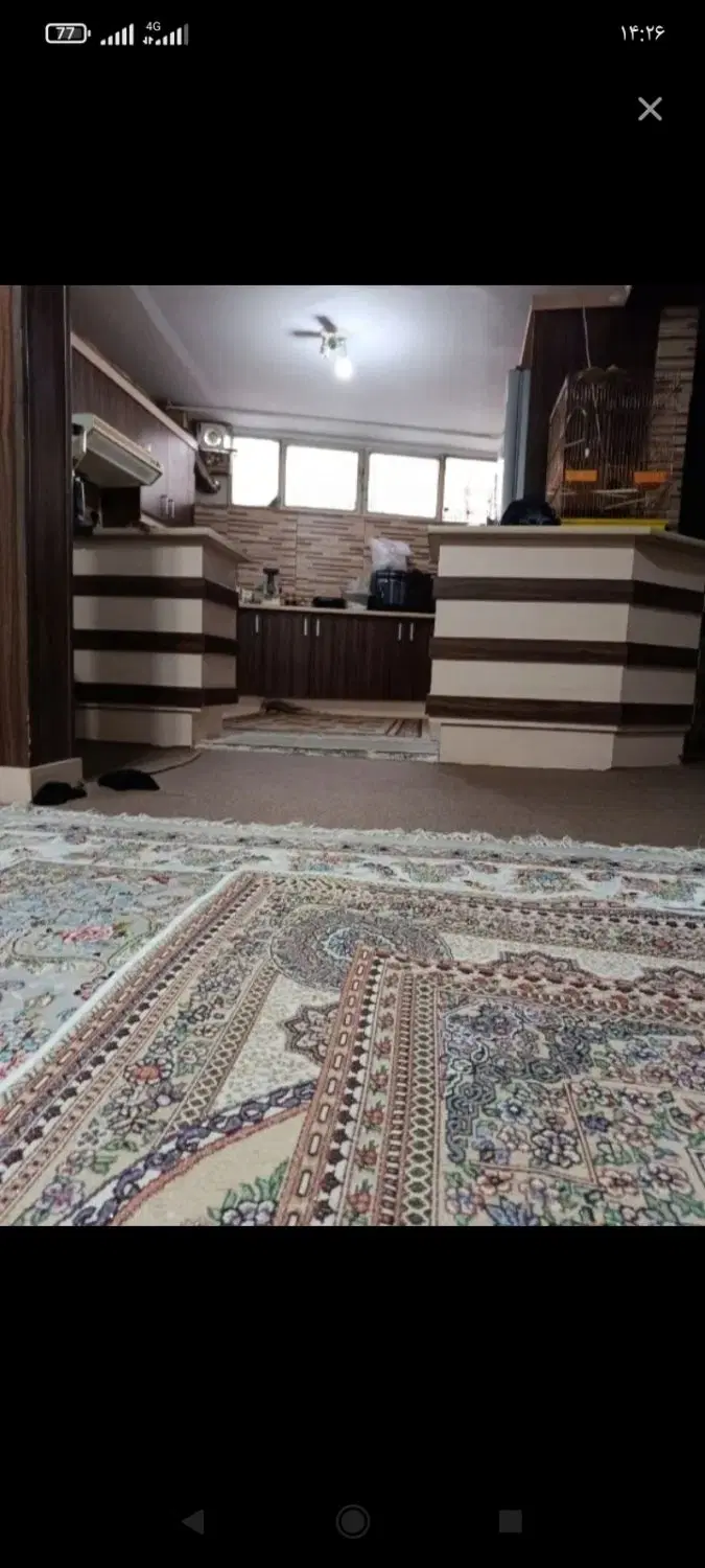 همخونه میشم