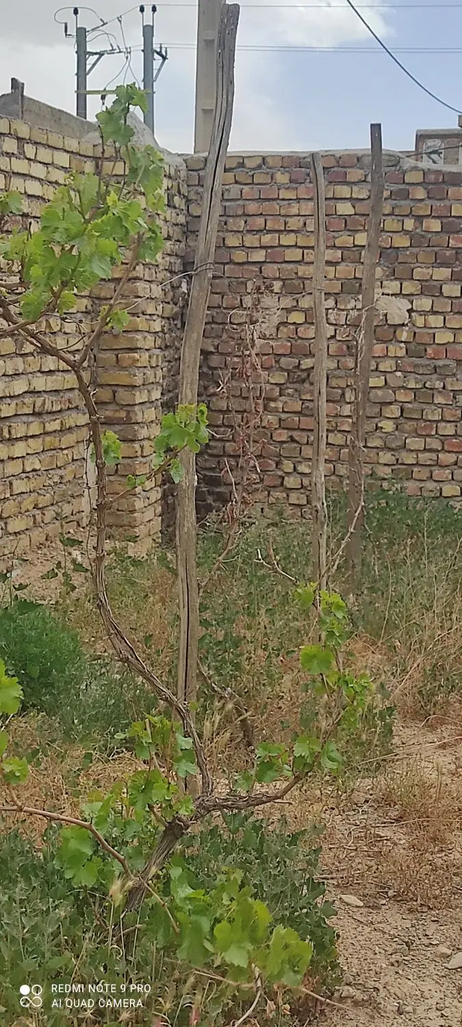 چهاردیواری شهرجرد 230متر