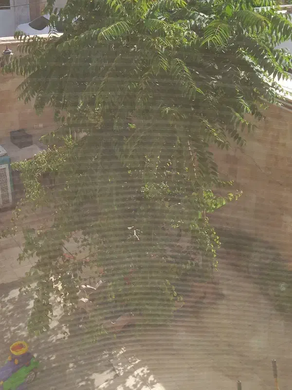 اجاره ویلایی دربست