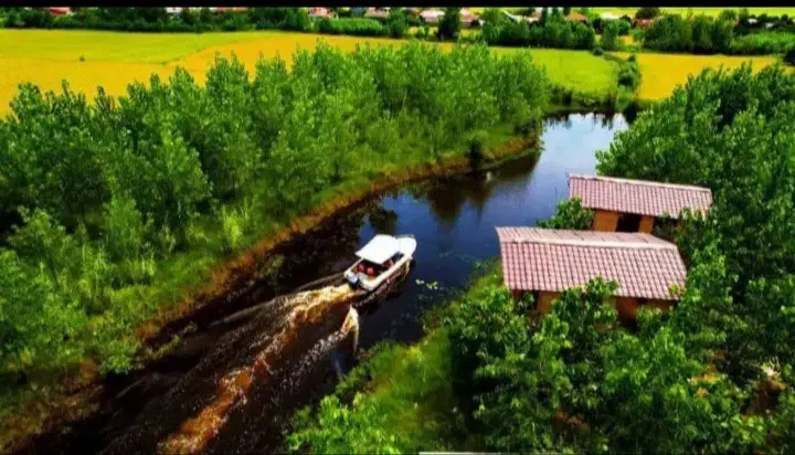 ویلایی ازچوب دردل یک منطقه گردشگری زنده