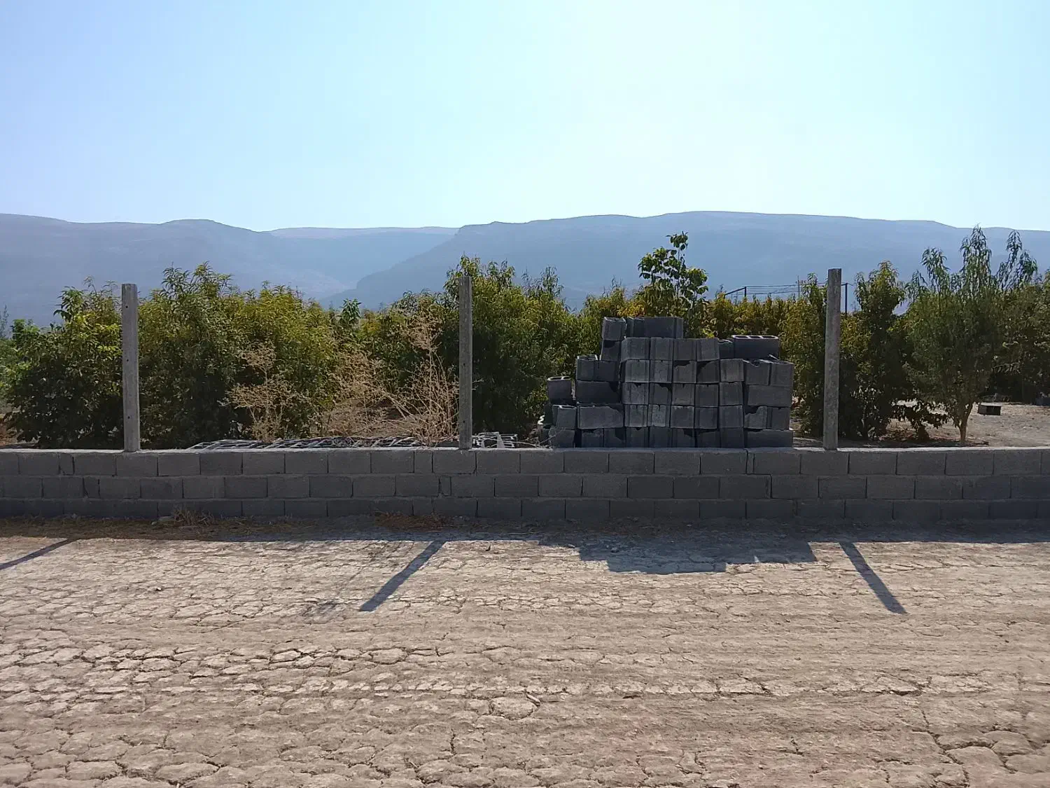 باغ و زمین باغی