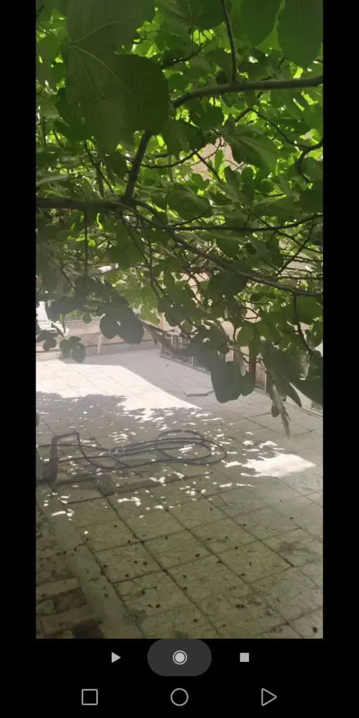 اجاره ویلایی