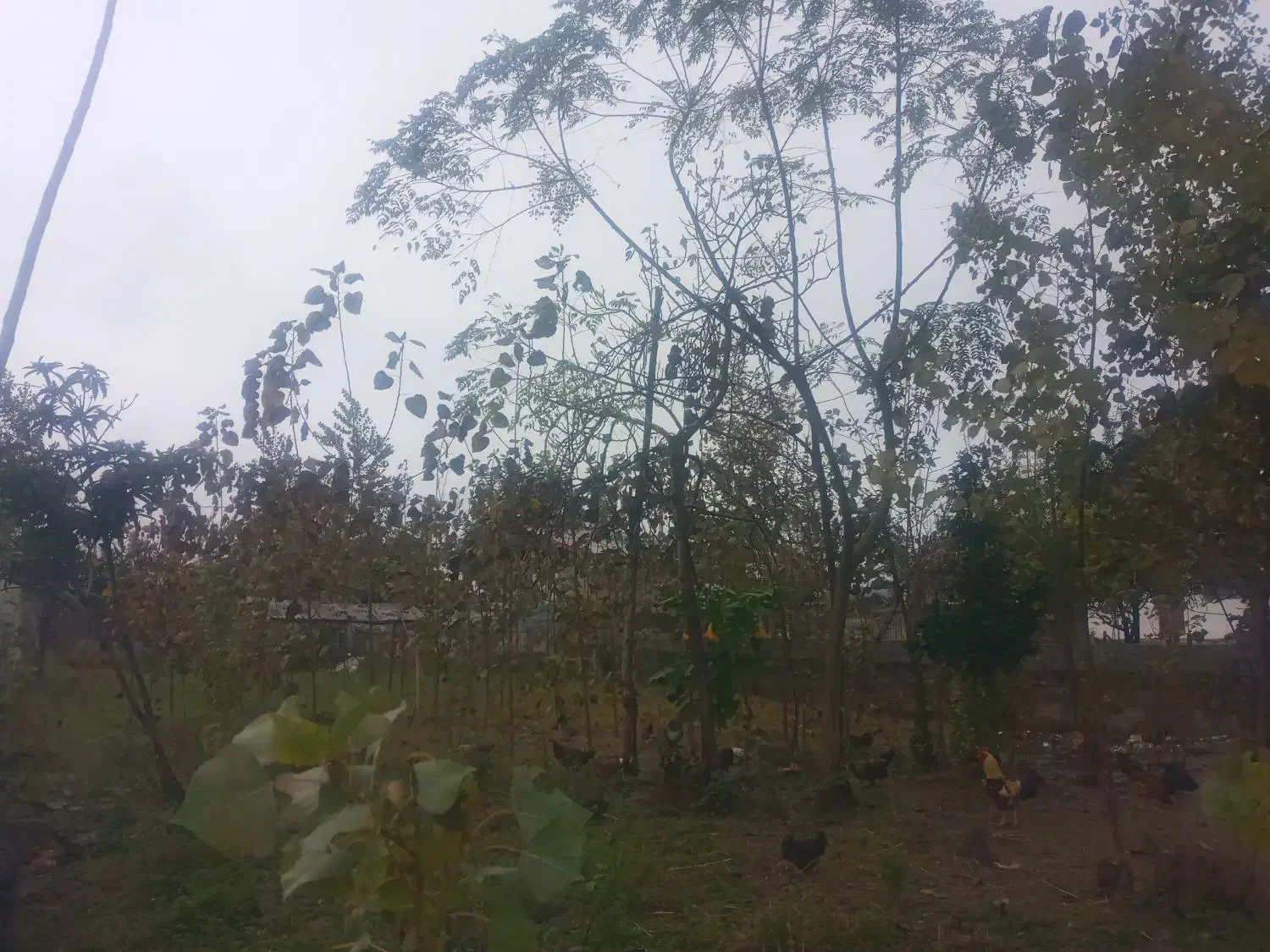 ۵۰۰ متر زمین مسکونی